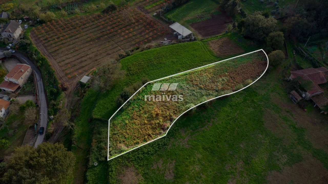 Terreno Agricola ou Rústico para Venda em Pico de Regalados, Gondiães e Mós Foto 3