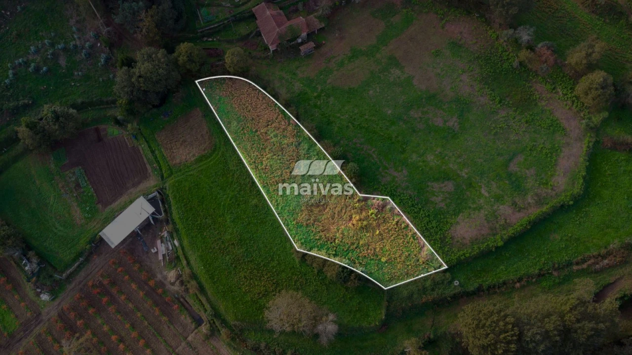 Terreno Agricola ou Rústico para Venda em Pico de Regalados, Gondiães e Mós Foto 4