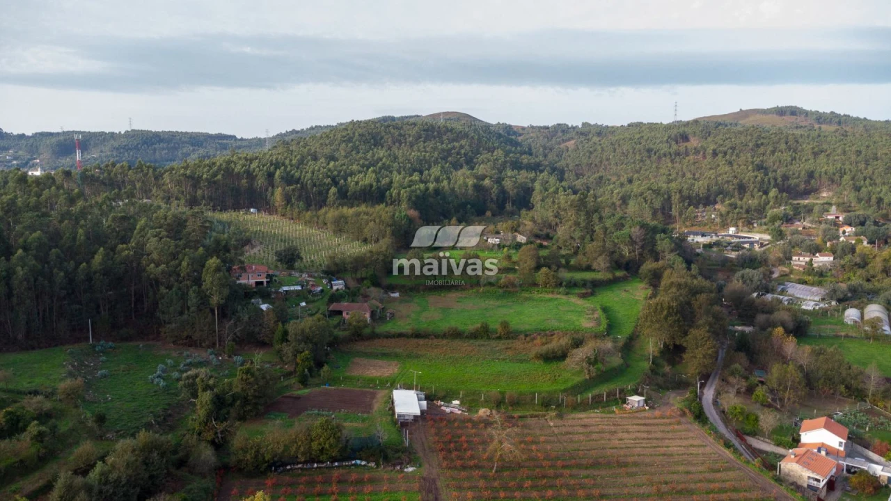 Terreno Agricola ou Rústico para Venda em Pico de Regalados, Gondiães e Mós Foto 6