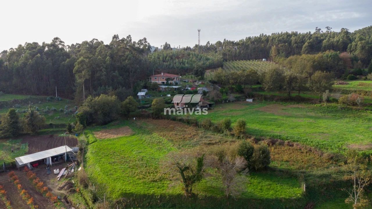 Terreno Agricola ou Rústico para Venda em Pico de Regalados, Gondiães e Mós Foto 9
