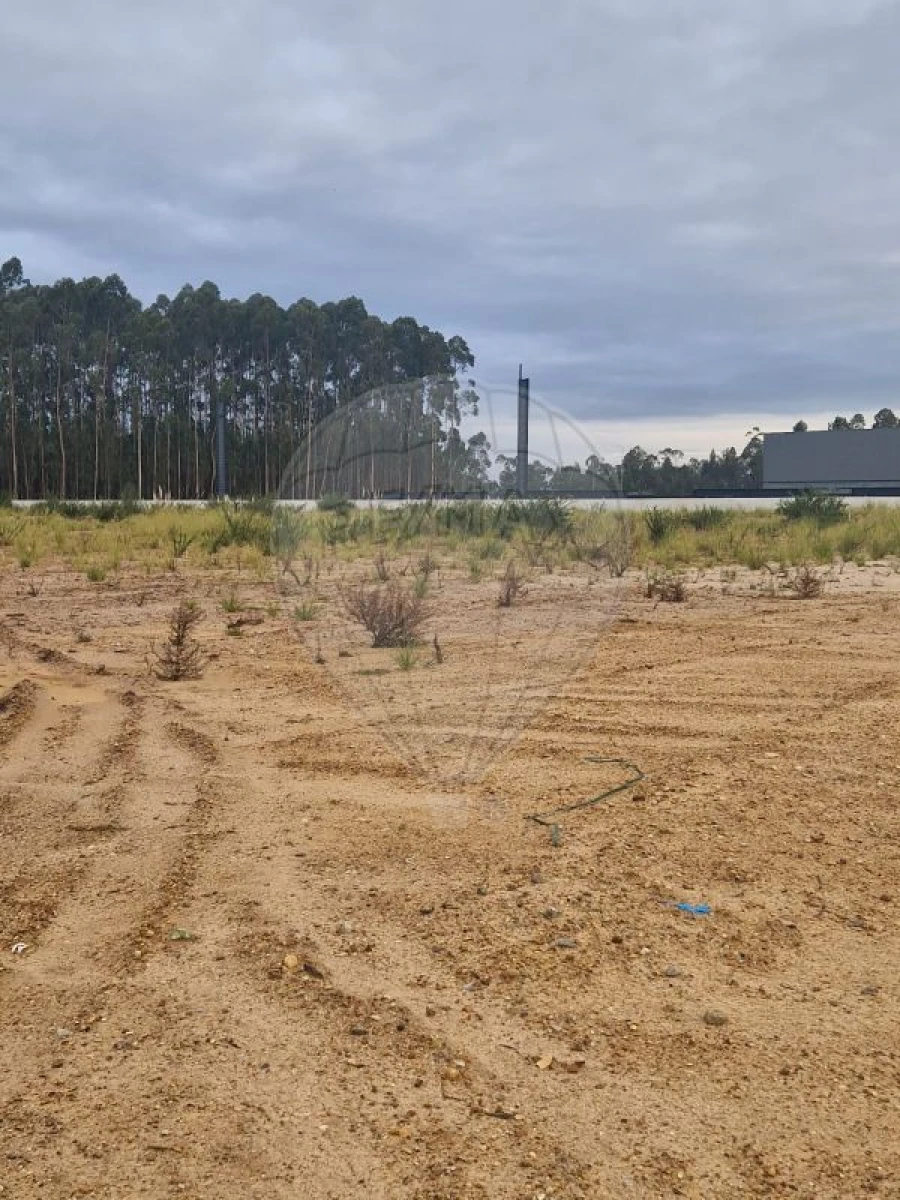 Armazém para Venda em São João de Ver Foto 5
