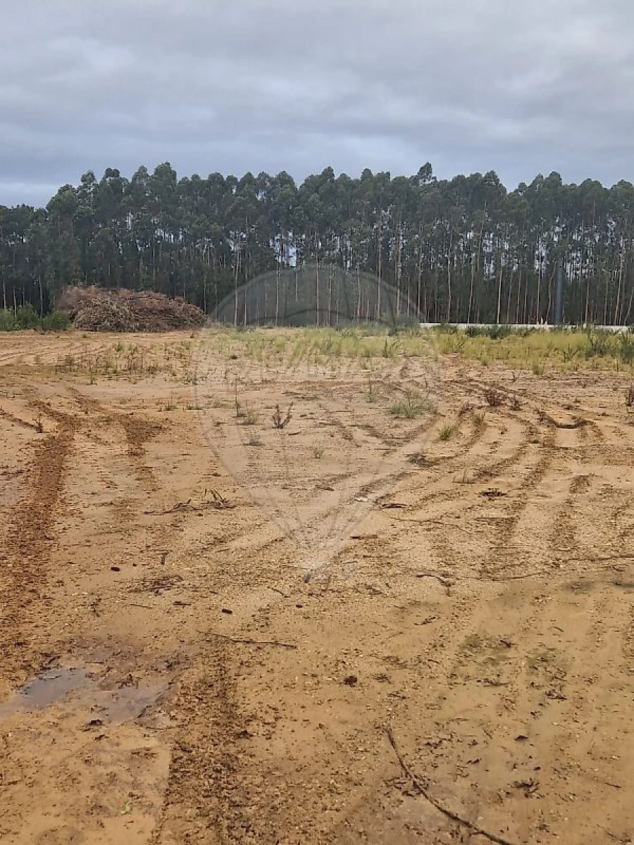 Armazém para Venda em São João de Ver Foto 2