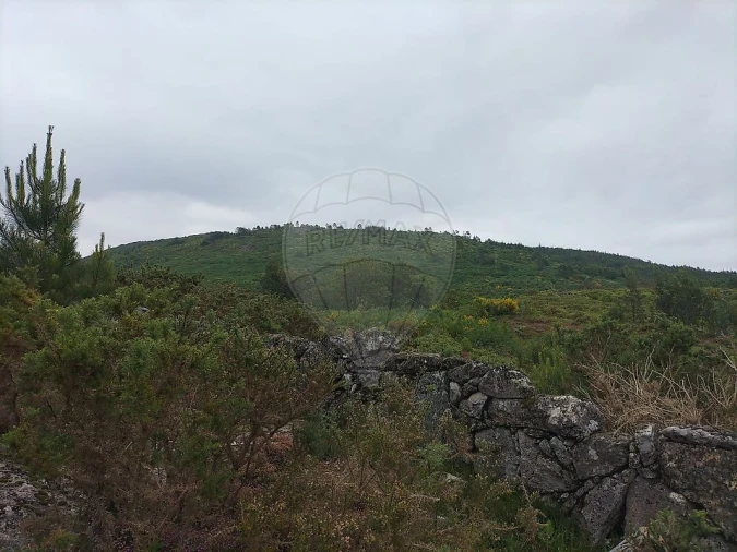 Terreno para Venda em Anjos e Vilar do Chão Foto 1