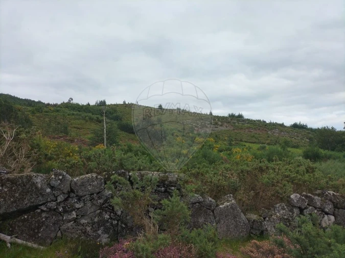 Terreno para Venda em Anjos e Vilar do Chão Foto 2