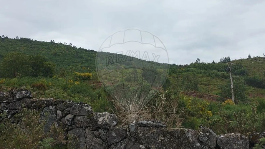 Terreno para Venda em Anjos e Vilar do Chão