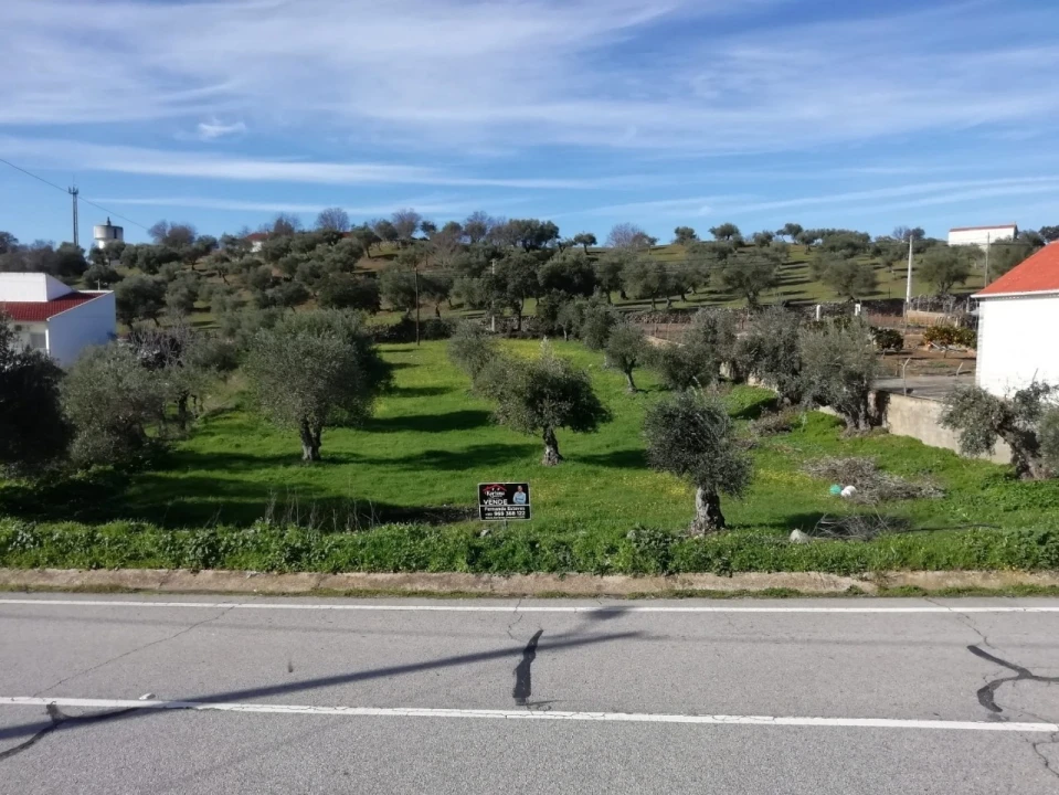 Terreno para Venda em Zebreira e Segura Foto 4