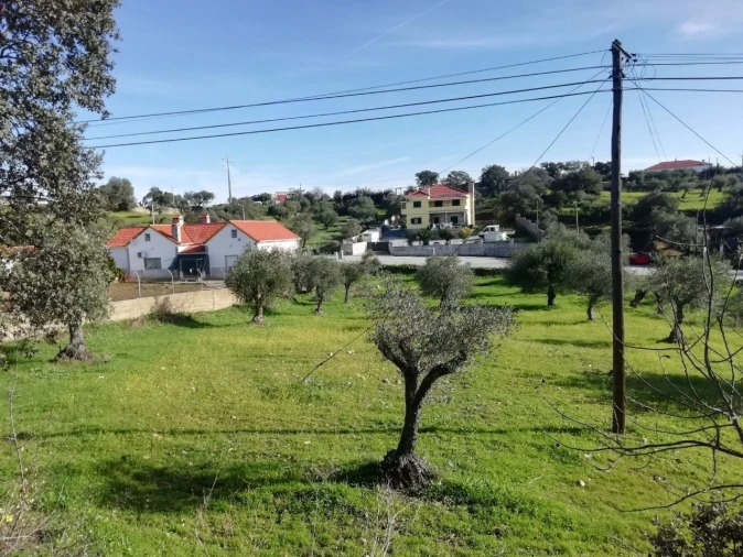 Terreno para Venda em Zebreira e Segura Foto 3