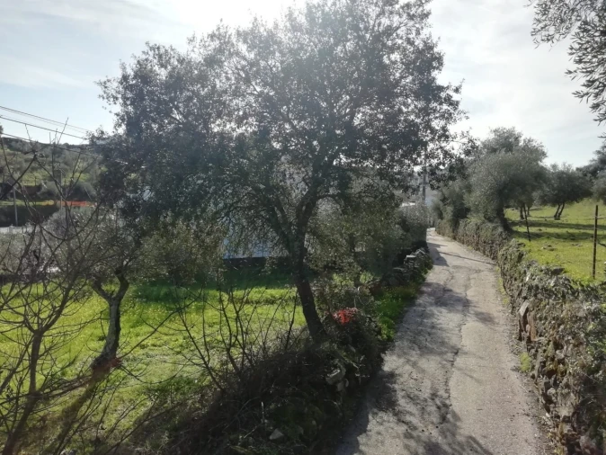 Terreno para Venda em Zebreira e Segura Foto 5