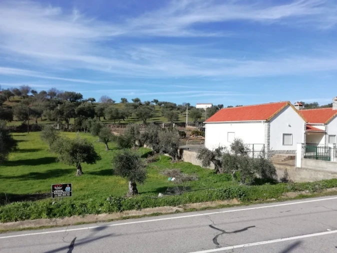Terreno para Venda em Zebreira e Segura