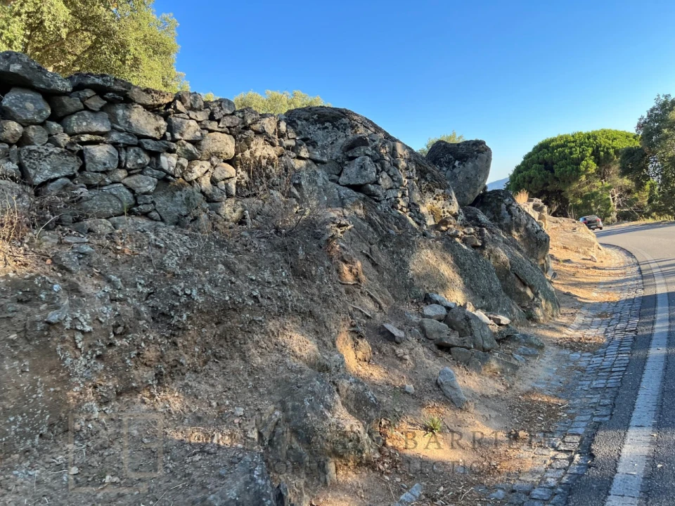 Terreno para Venda em Ribeira de Nisa e Carreiras Foto 13