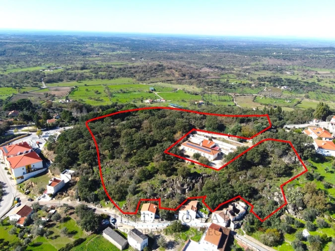 Terreno para Venda em Ribeira de Nisa e Carreiras Foto 2