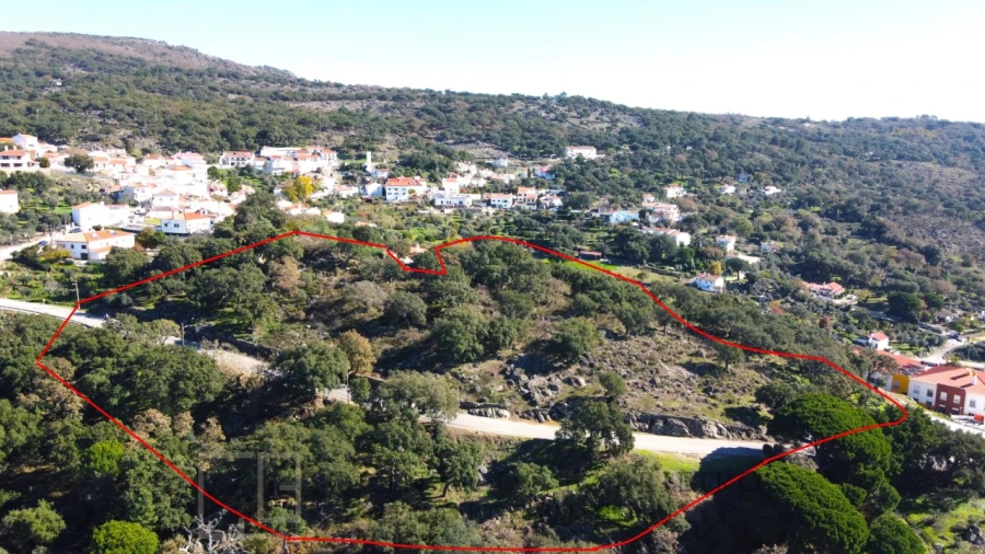 Terreno para Venda em Ribeira de Nisa e Carreiras Foto 3