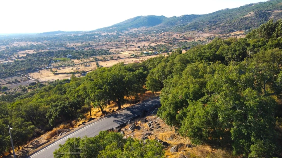 Terreno para Venda em Ribeira de Nisa e Carreiras Foto 5