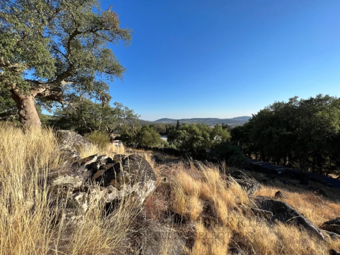 Terreno para Venda em Ribeira de Nisa e Carreiras Foto 8