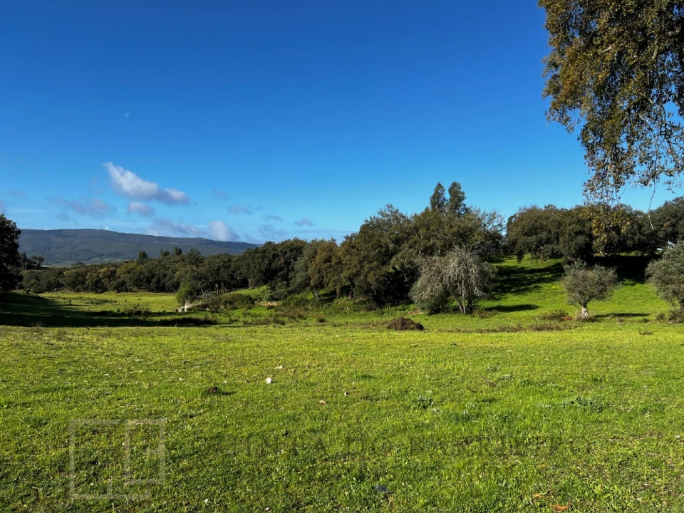 Quinta T6 para Venda em Rio de Moinhos Foto 12