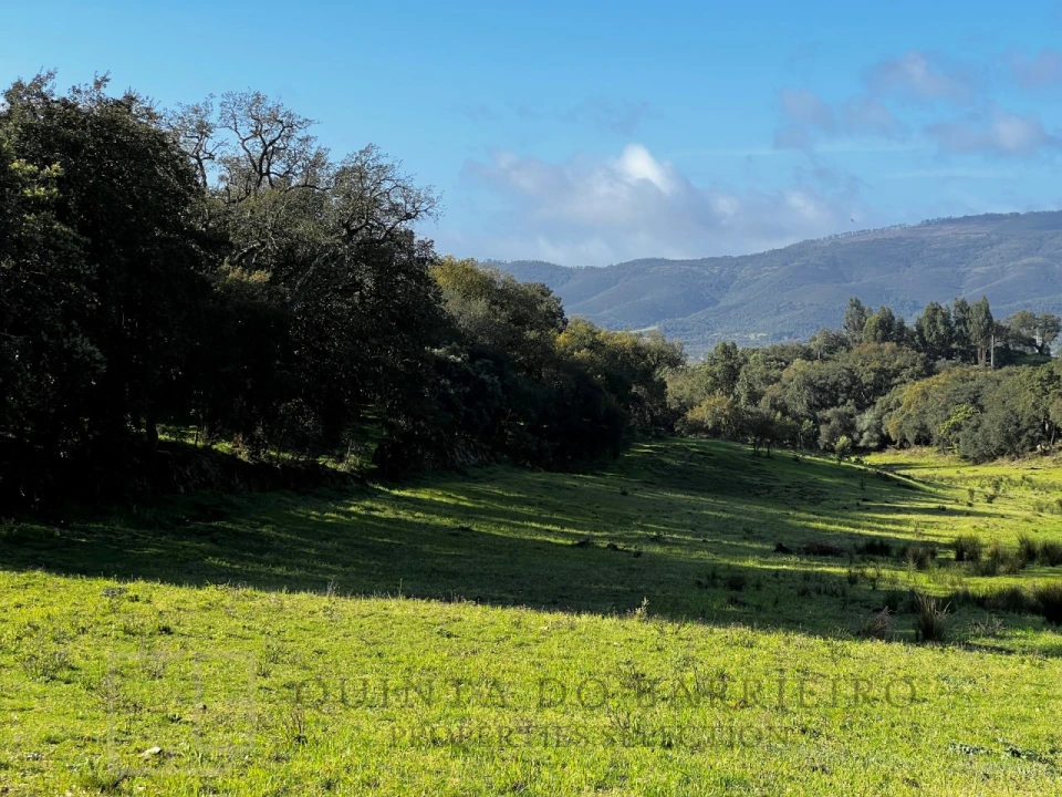 Quinta T6 para Venda em Rio de Moinhos Foto 14