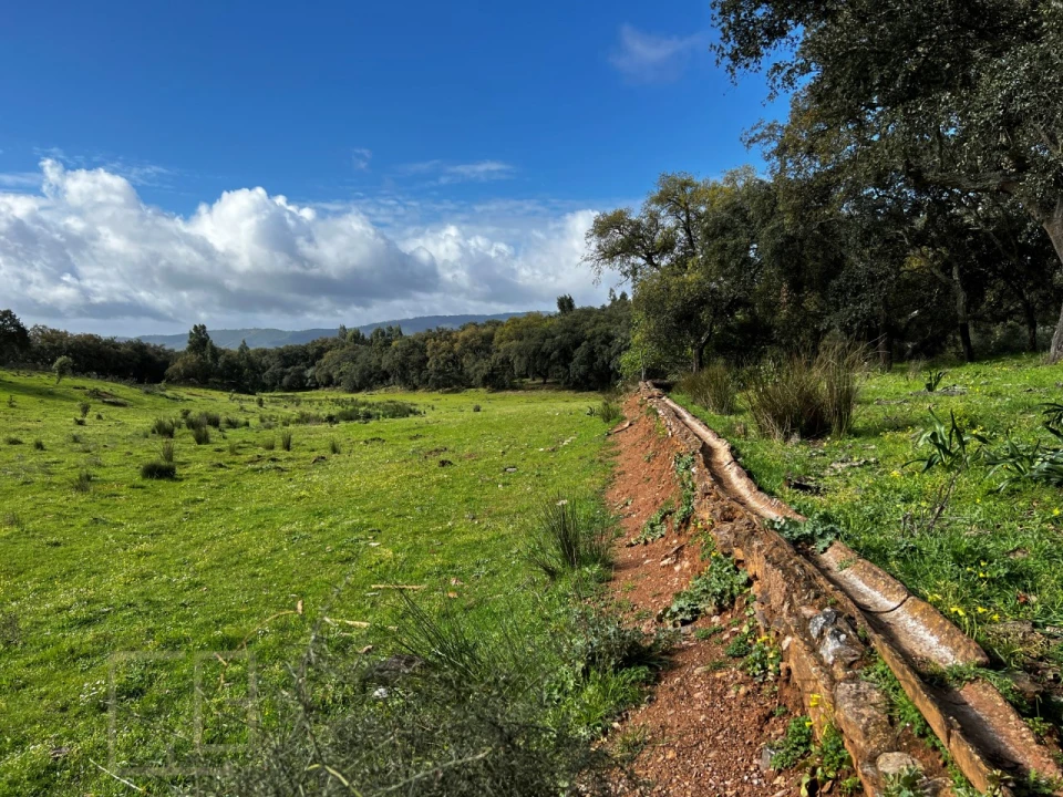Quinta T6 para Venda em Rio de Moinhos Foto 30