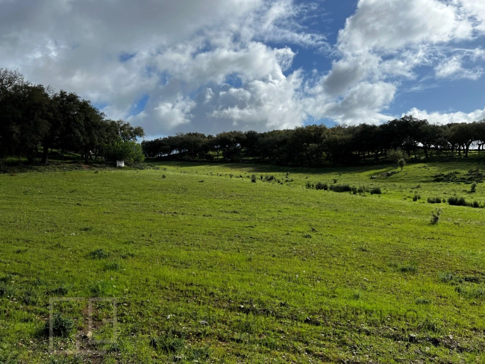 Quinta T6 para Venda em Rio de Moinhos Foto 32