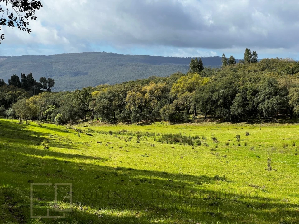 Quinta T6 para Venda em Rio de Moinhos Foto 34