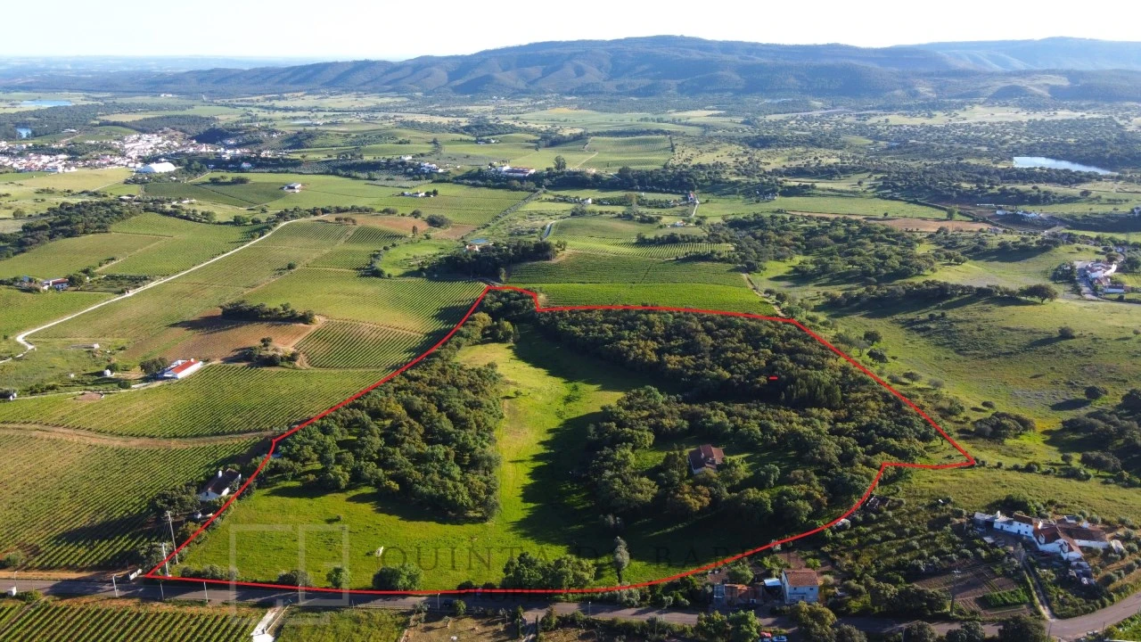 Quinta T6 para Venda em Rio de Moinhos Foto 4