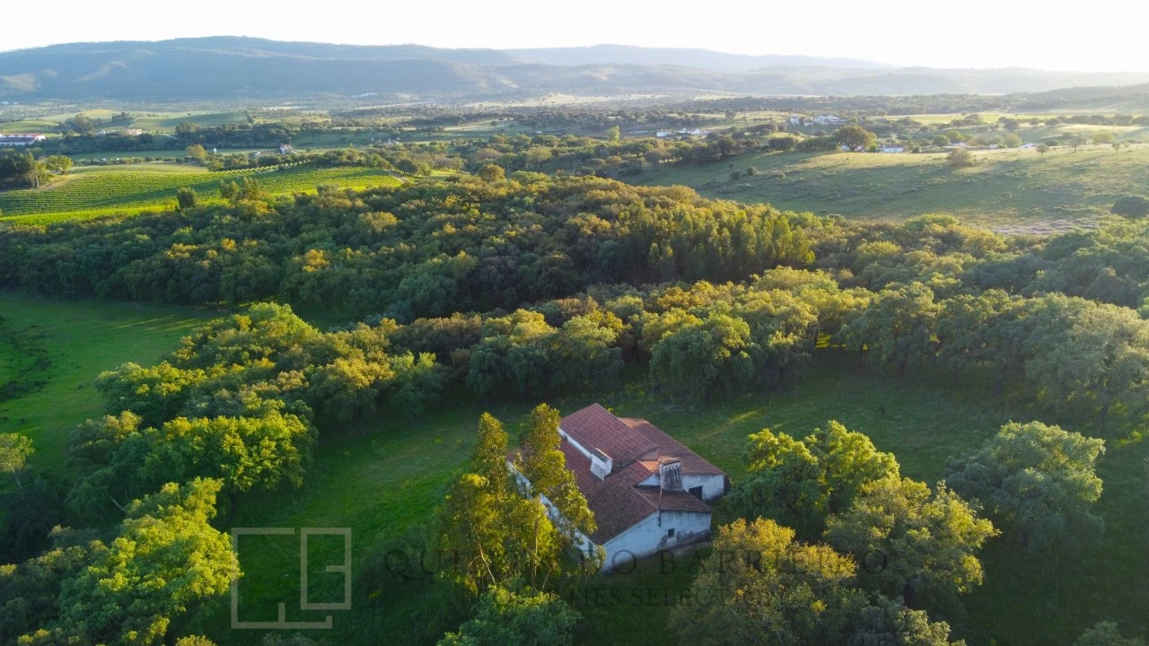 Quinta T6 para Venda em Rio de Moinhos Foto 7