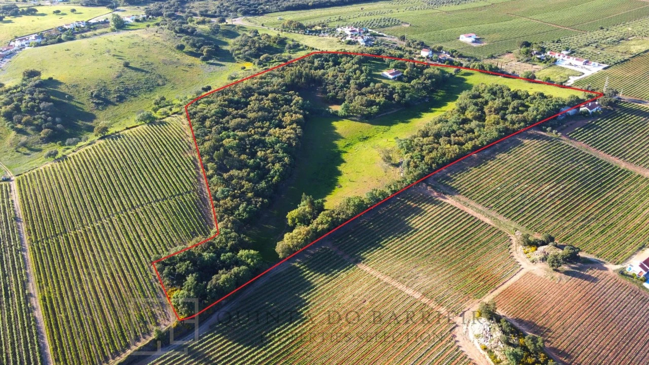 Quinta T6 para Venda em Rio de Moinhos Foto 11