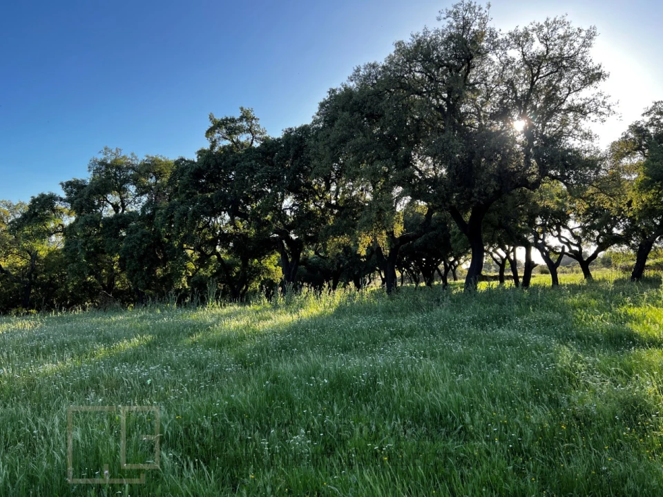 Quinta T6 para Venda em Rio de Moinhos Foto 44