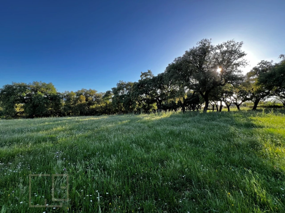 Quinta T6 para Venda em Rio de Moinhos Foto 45