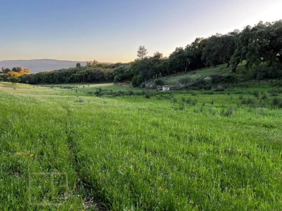 Quinta T6 para Venda em Rio de Moinhos Foto 53