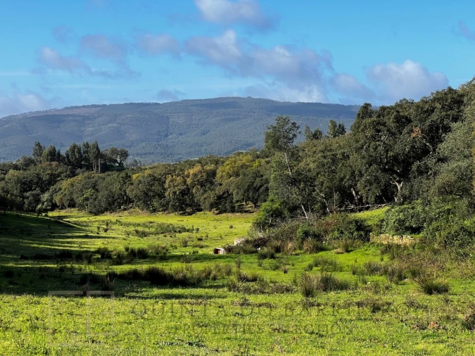 Quinta T6 para Venda em Rio de Moinhos Foto 13