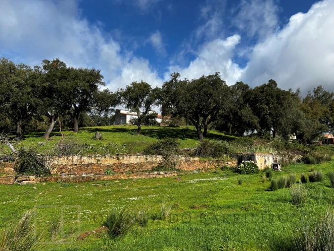 Quinta T6 para Venda em Rio de Moinhos Foto 29