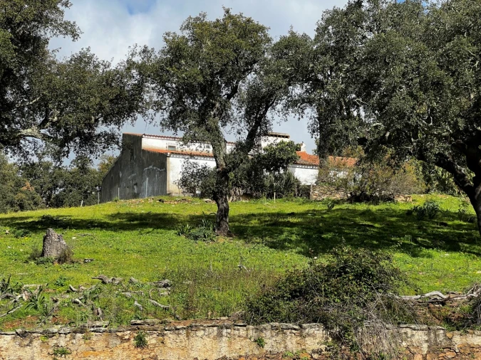 Quinta T6 para Venda em Rio de Moinhos Foto 31