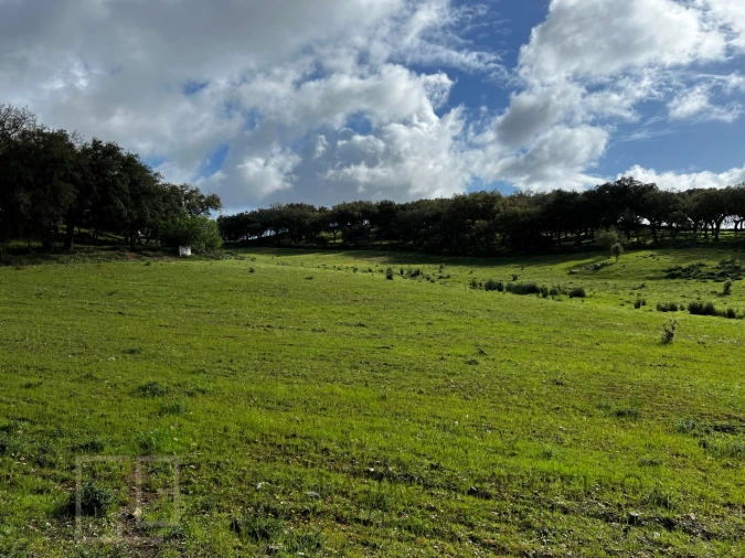 Quinta T6 para Venda em Rio de Moinhos Foto 32