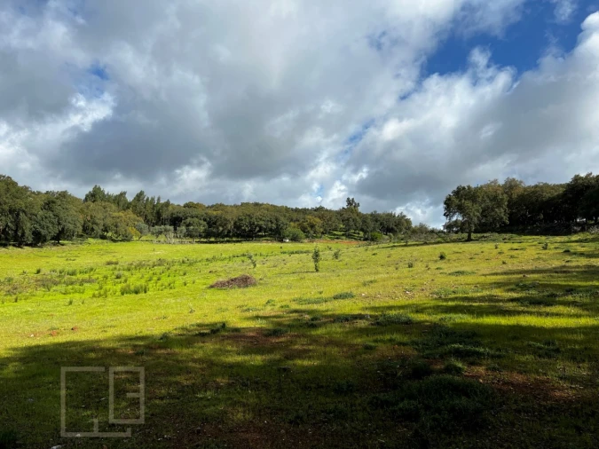 Quinta T6 para Venda em Rio de Moinhos Foto 33