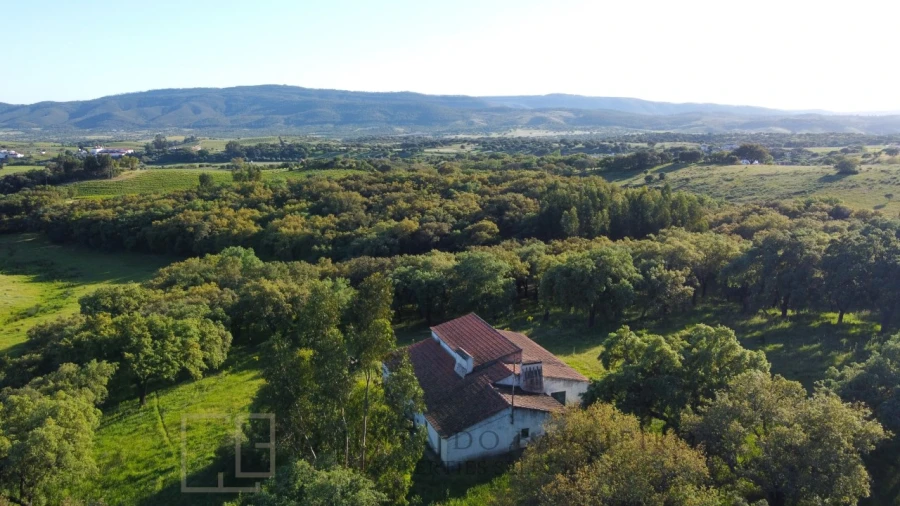 Quinta T6 para Venda em Rio de Moinhos Foto 36