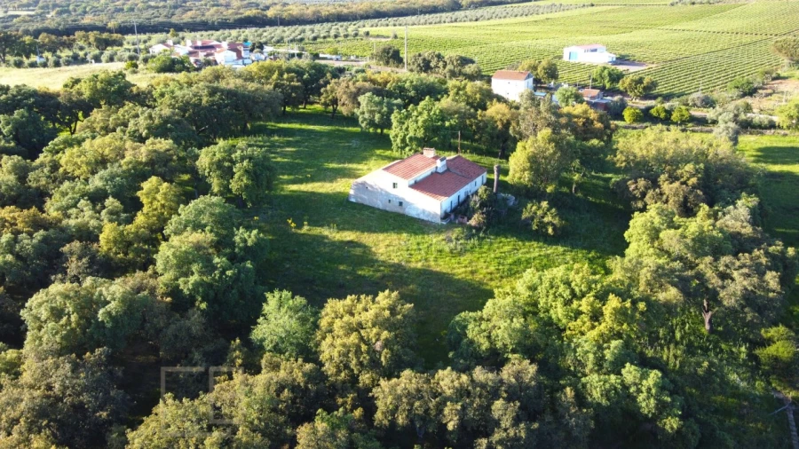 Quinta T6 para Venda em Rio de Moinhos Foto 42