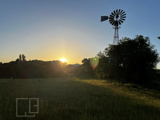 Quinta T6 para Venda em Rio de Moinhos Foto 50