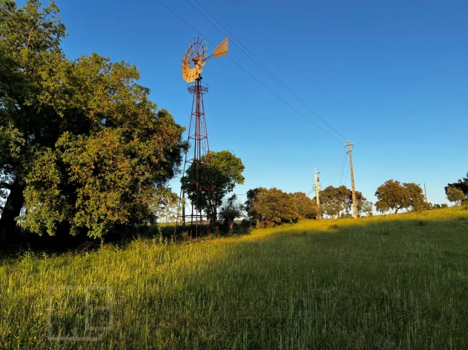 Quinta T6 para Venda em Rio de Moinhos Foto 51