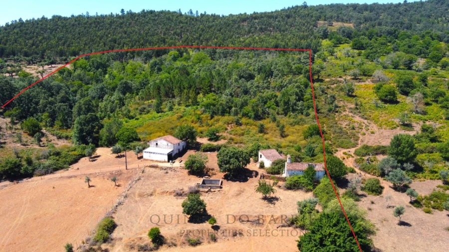 Quinta T2 para Venda em São Salvador da Aramenha Foto 7