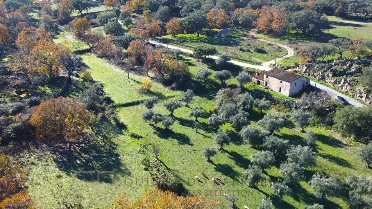 Quinta T5 para Venda em Santo Antonio das Areias Foto 3