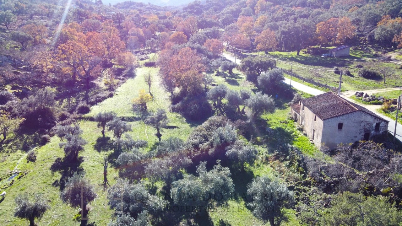 Quinta T5 para Venda em Santo Antonio das Areias Foto 6