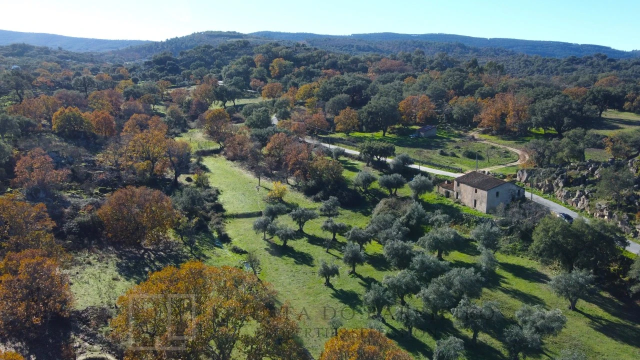 Quinta T5 para Venda em Santo Antonio das Areias Foto 11