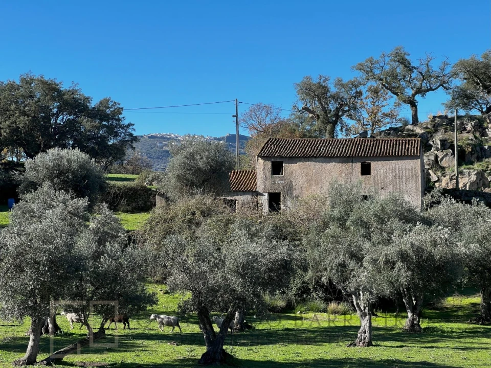 Quinta T5 para Venda em Santo Antonio das Areias Foto 1