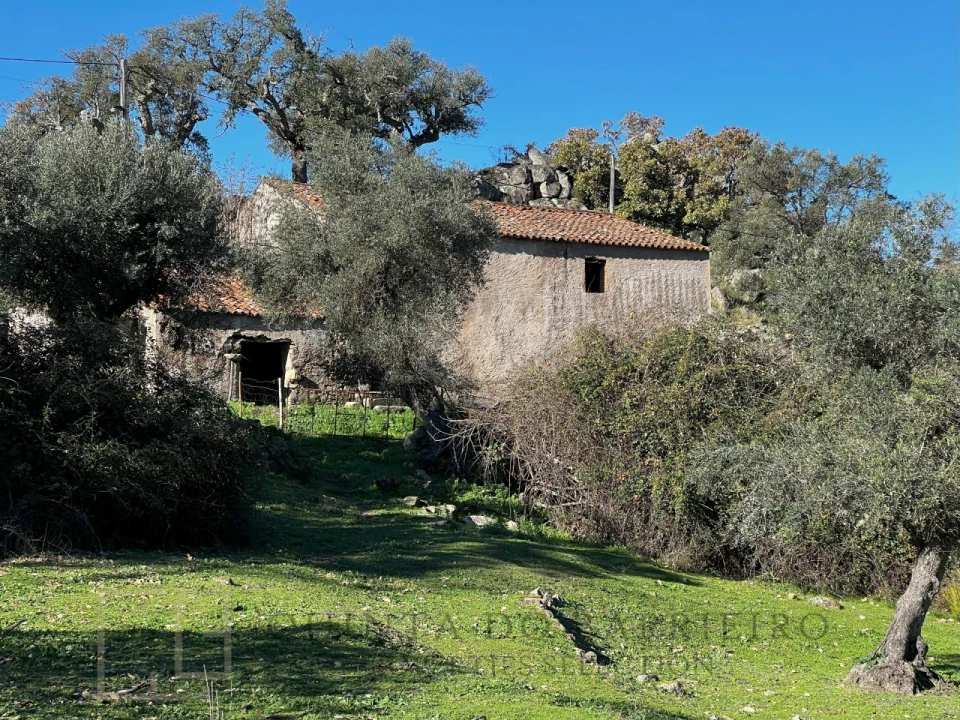 Quinta T5 para Venda em Santo Antonio das Areias Foto 30