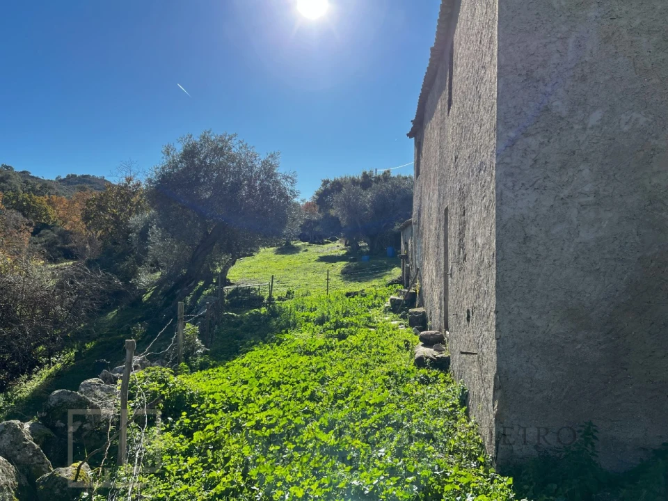 Quinta T5 para Venda em Santo Antonio das Areias Foto 33