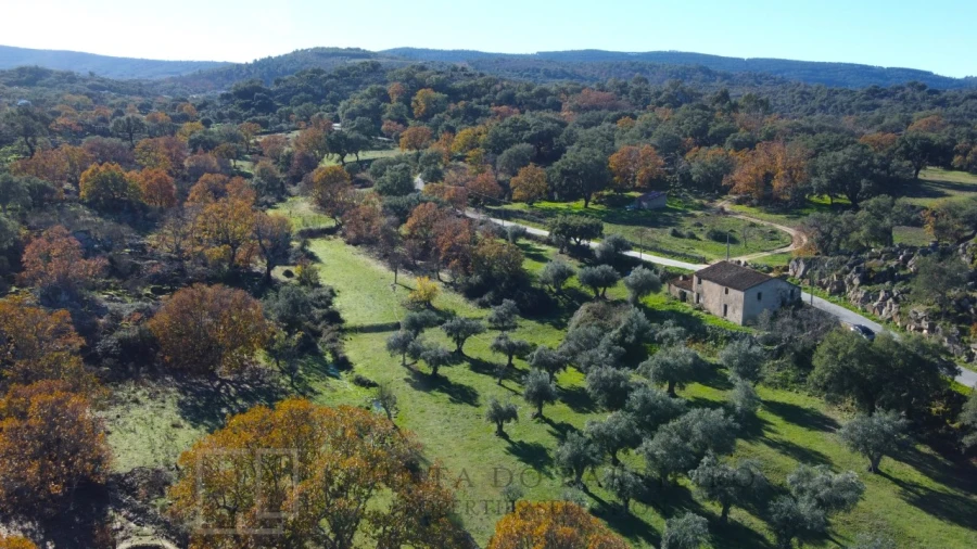 Quinta T5 para Venda em Santo Antonio das Areias Foto 11
