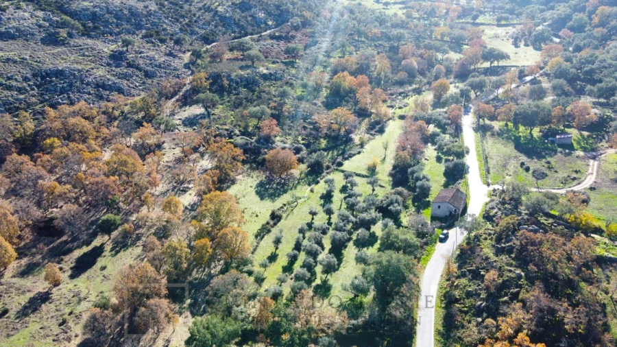 Quinta T5 para Venda em Santo Antonio das Areias Foto 12