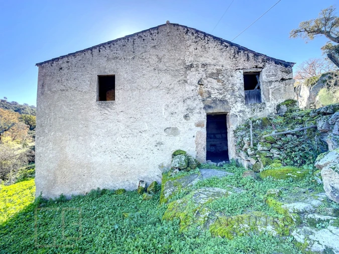 Quinta T5 para Venda em Santo Antonio das Areias Foto 24