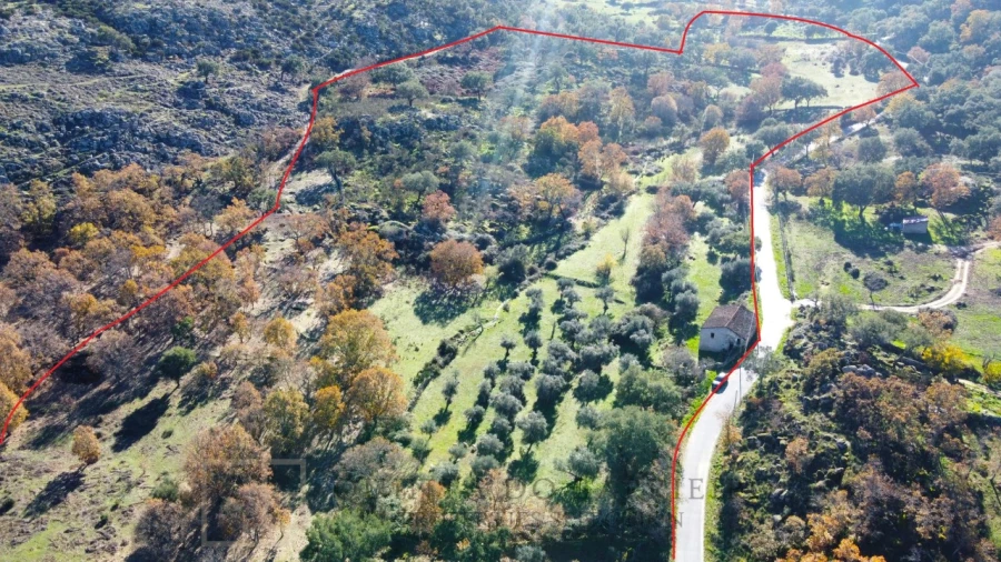 Quinta T5 para Venda em Santo Antonio das Areias Foto 2