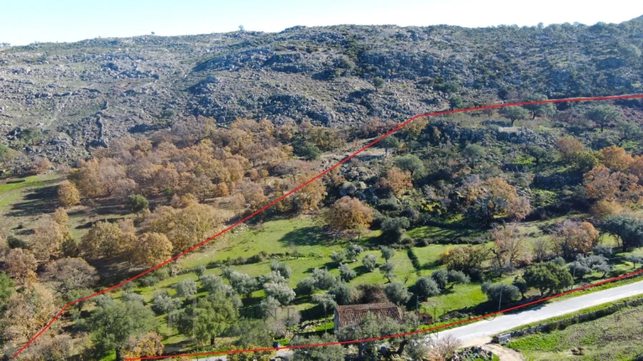 Quinta T5 para Venda em Santo Antonio das Areias Foto 4